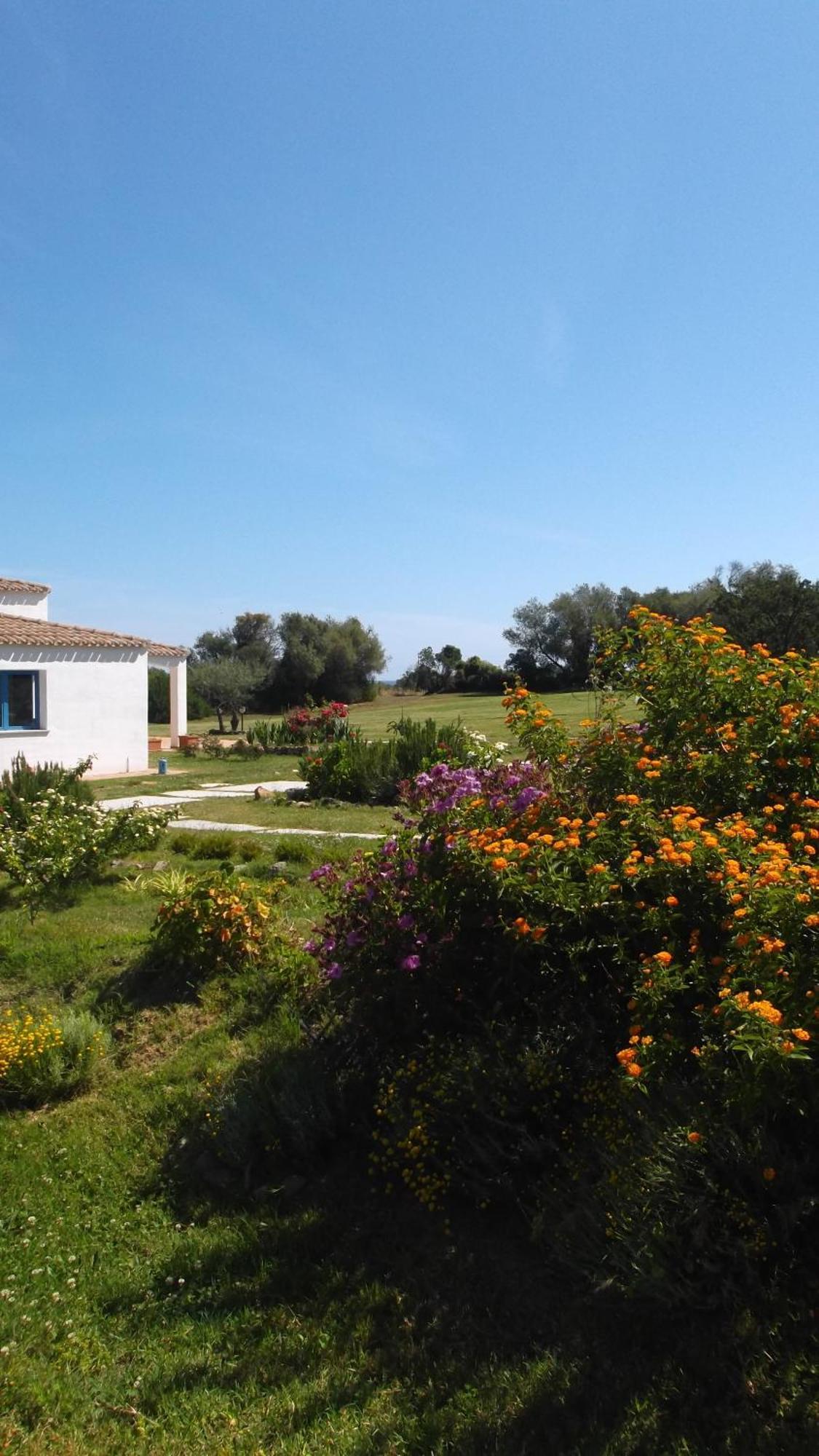 Hotel Baia Cea Bari Sardo Buitenkant foto