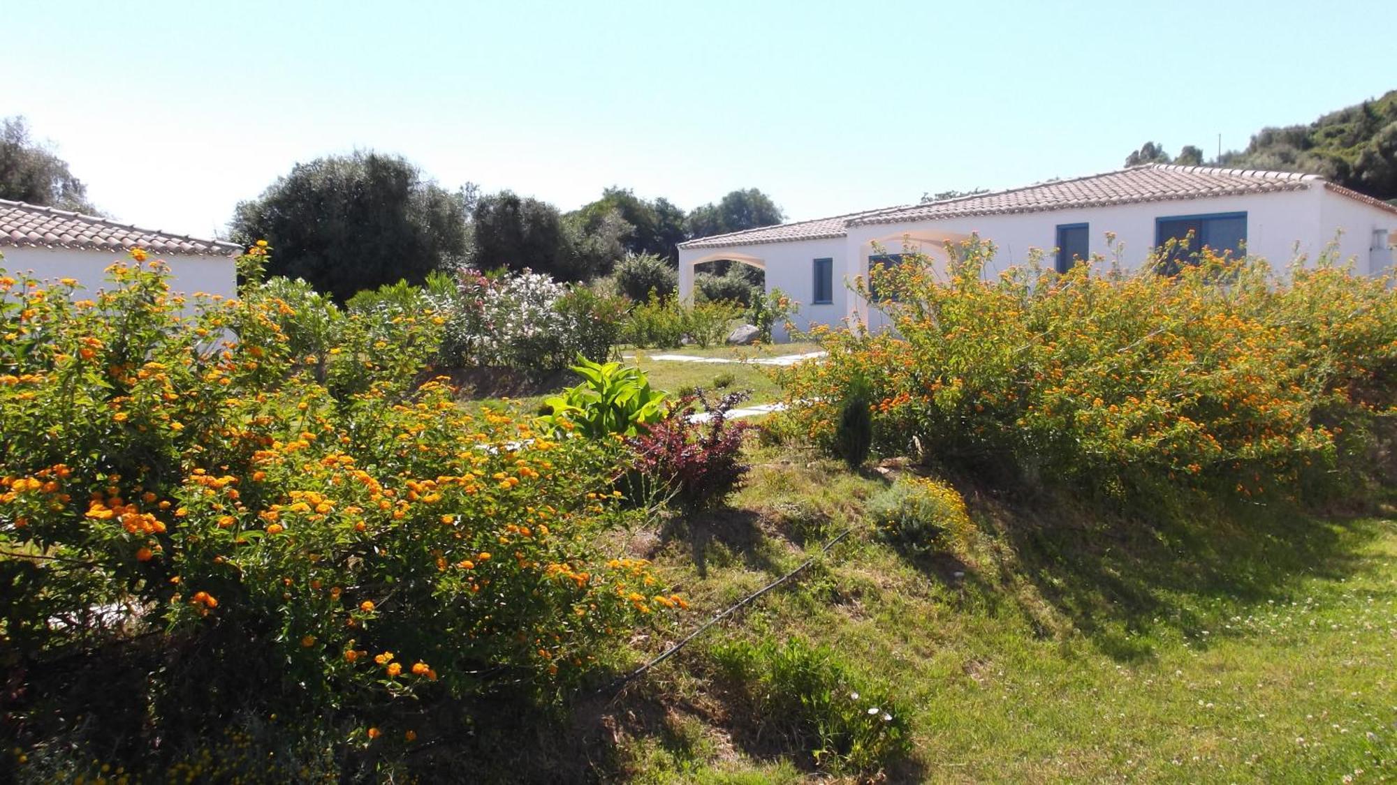 Hotel Baia Cea Bari Sardo Buitenkant foto